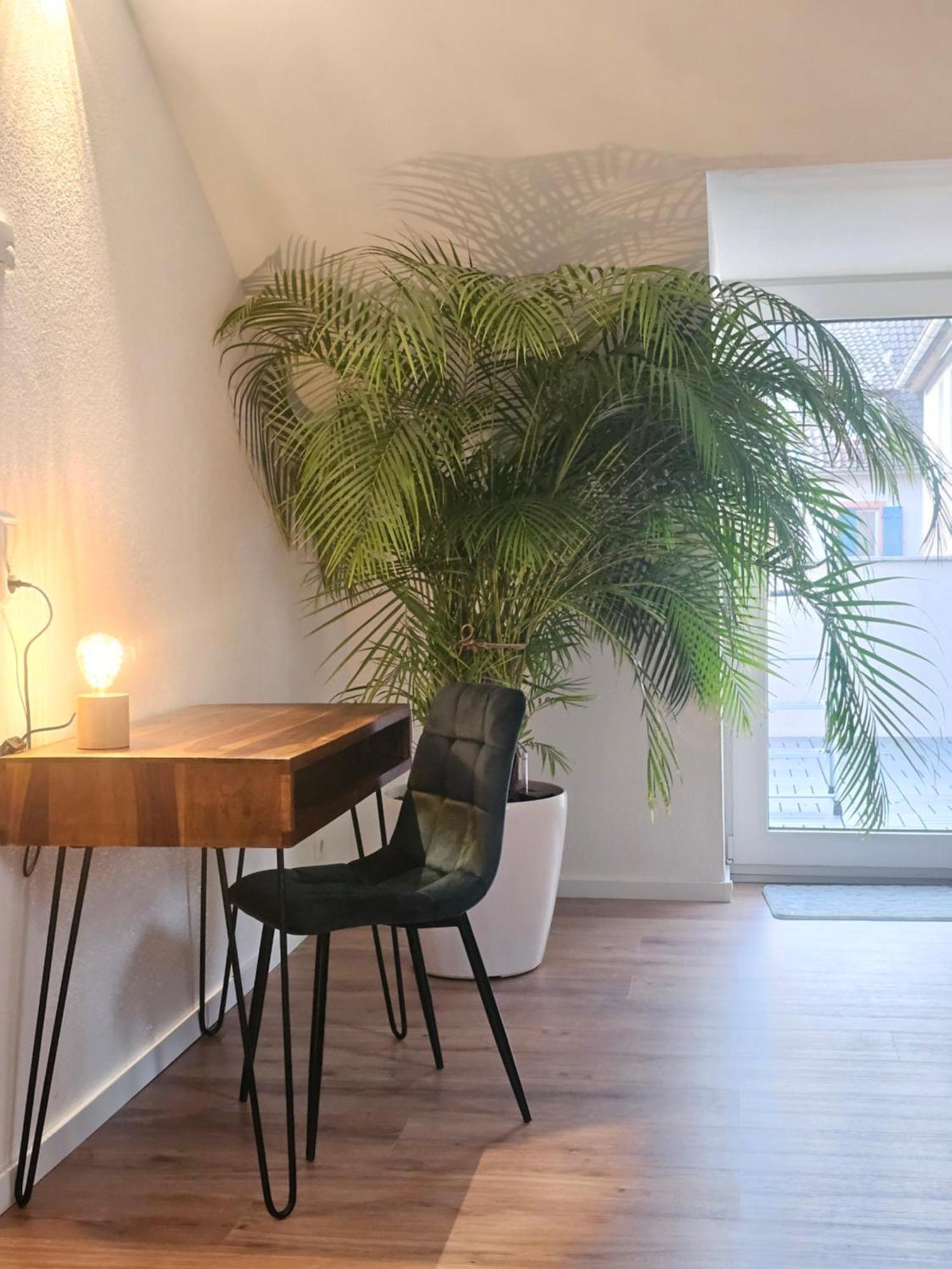 Апартаменты Design-Penthouse I 90Qm I Europapark 20 Min I Boxspring I Nespresso I Parking Лар Экстерьер фото